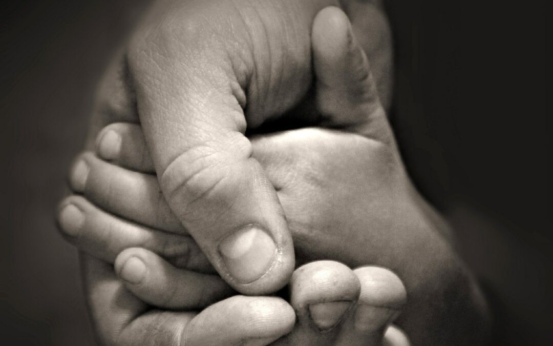 Um Pequeno Gesto de Amor que Transforma.