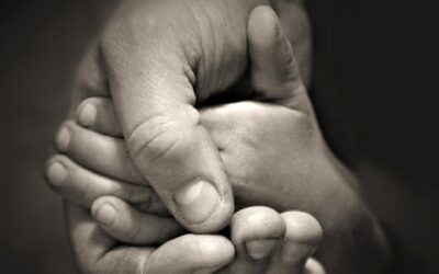 Um Pequeno Gesto de Amor que Transforma.